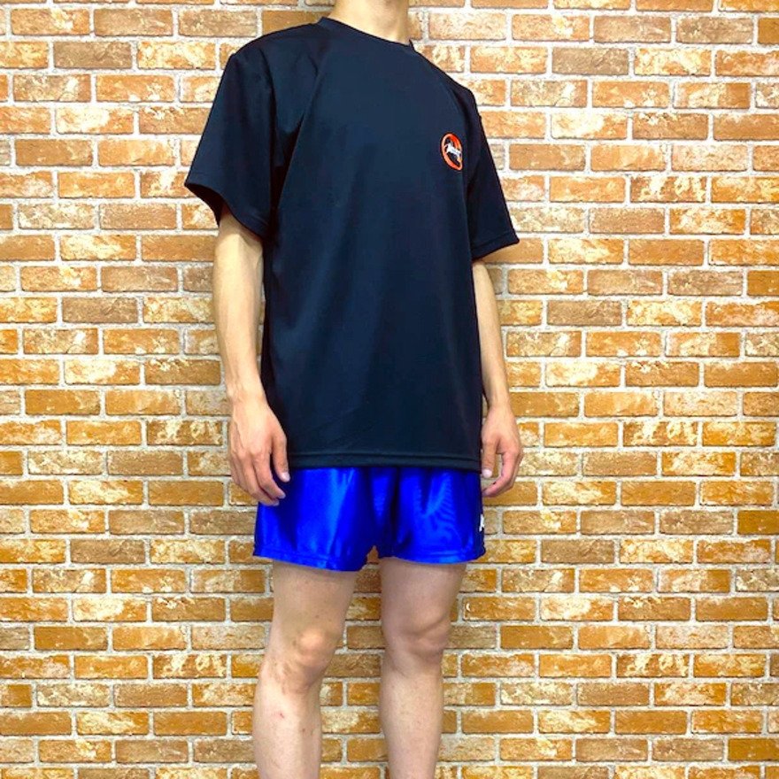 アルスト（ALST）（メンズ）バレーボールウェア 半袖Tシャツ フロントボールロゴ VB23TS03-08 速乾