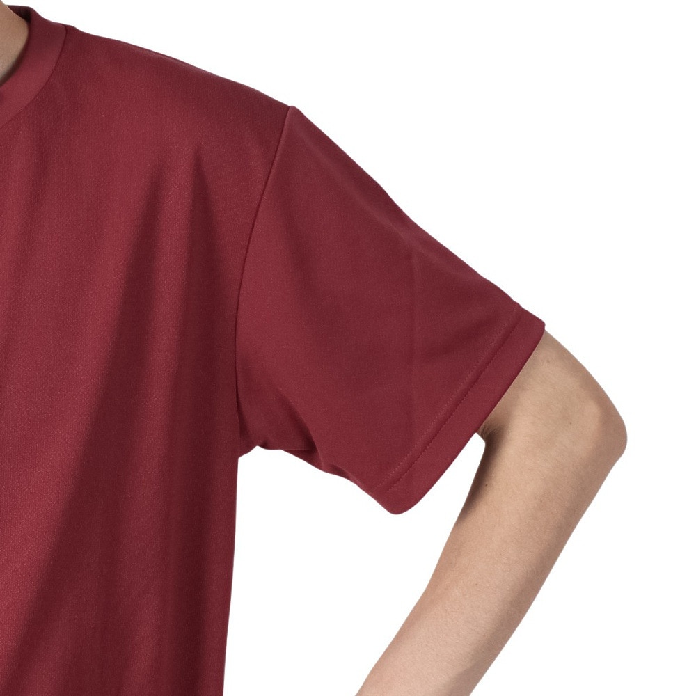 アルスト（ALST）（メンズ、レディース）バレーボールウェア バックボールグラデーション 半袖ドライTシャツ VB24TS10-64