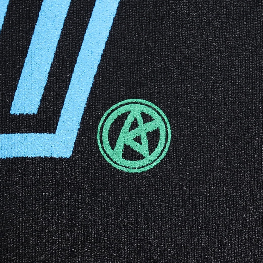 アルスト（ALST）（メンズ、レディース）バレーボールウェア ロングTシャツ ディーエックス VB25TS16-03