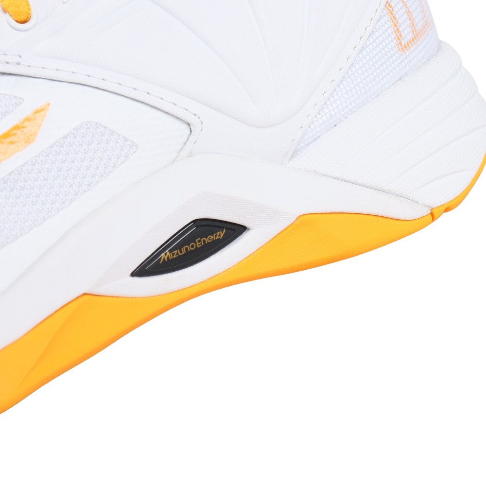 ミズノ（MIZUNO）（メンズ、レディース）バレーボールシューズ