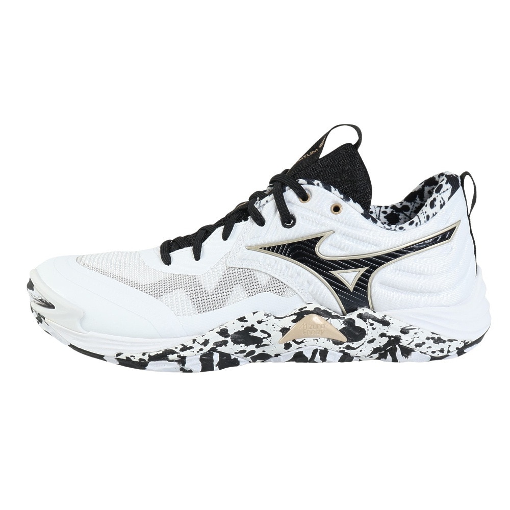 ミズノ（MIZUNO）（メンズ、レディース）バレーボールシューズ ウエーブモーメンタム エリート V1GA251241