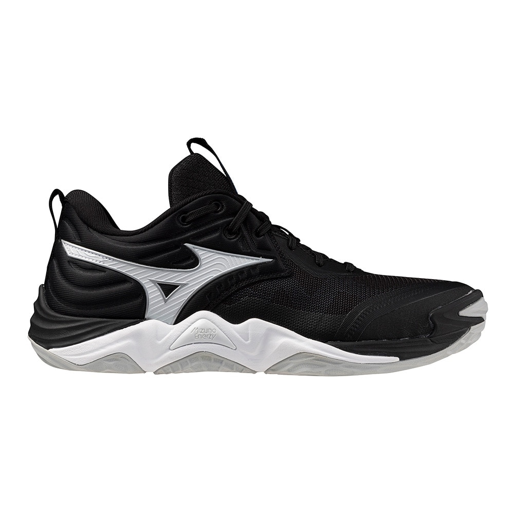ミズノ（MIZUNO）（メンズ、レディース）バレーボールシューズ ウエーブモーメンタム エリート WAVE MOMENTUM ELITE V1GA251254