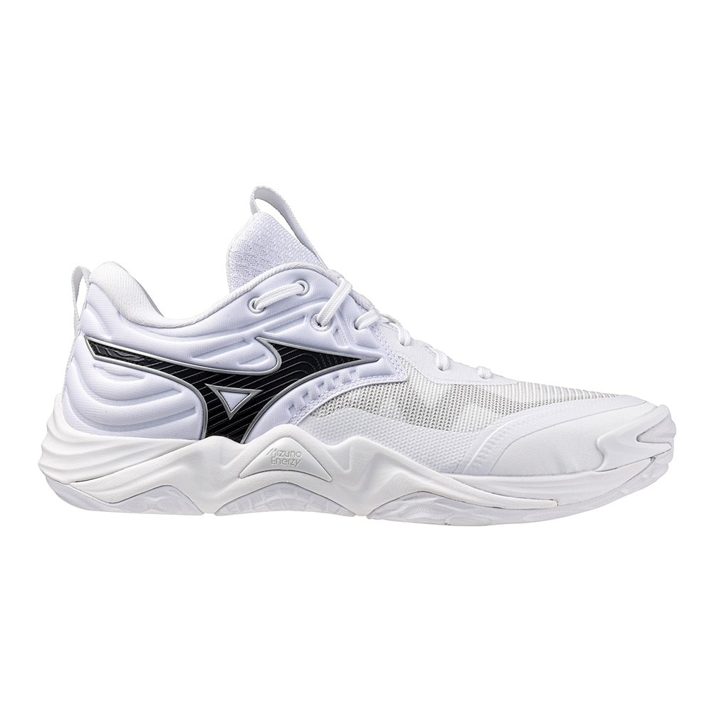 ミズノ（MIZUNO）（メンズ、レディース） バレーボールシューズ ウエーブモーメンタム エリート WAVE MOMENTUM ELITE WIDE V1GA251351