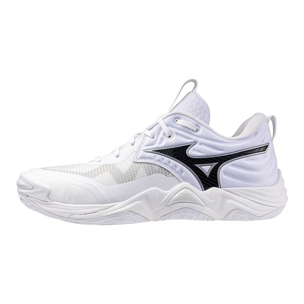 ミズノ（MIZUNO）（メンズ、レディース） バレーボールシューズ ウエーブモーメンタム エリート WAVE MOMENTUM ELITE WIDE V1GA251351