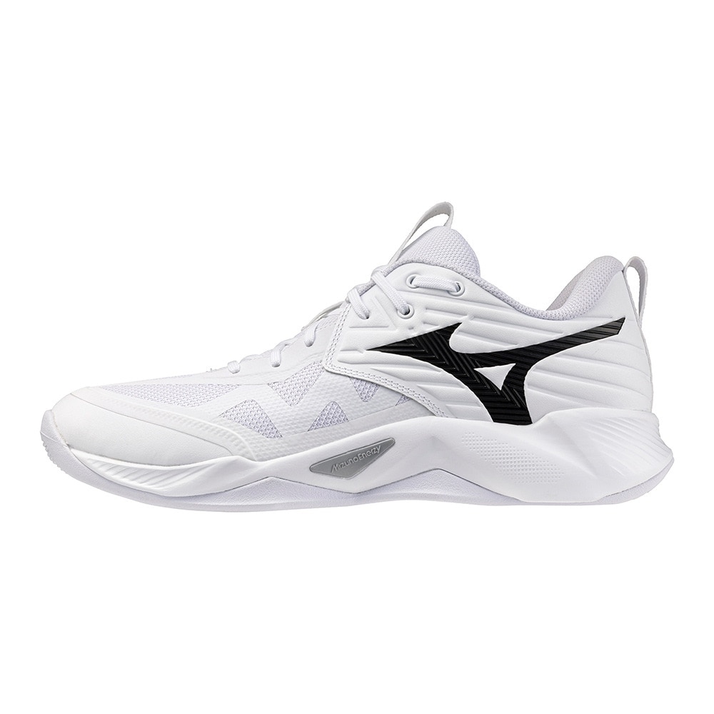 ミズノ（MIZUNO）（メンズ、レディース）バレーボールシューズ ウエーブモーメンタム プロ WAVE MOMENTUM V1GA254051