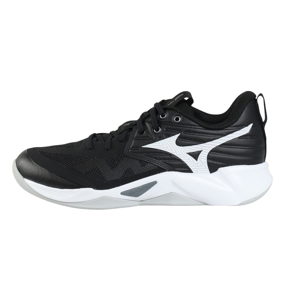 ミズノ（MIZUNO）（メンズ、レディース）バレーボールシューズ ウエーブモーメンタム プロ WAVE MOMENTUM V1GA254054