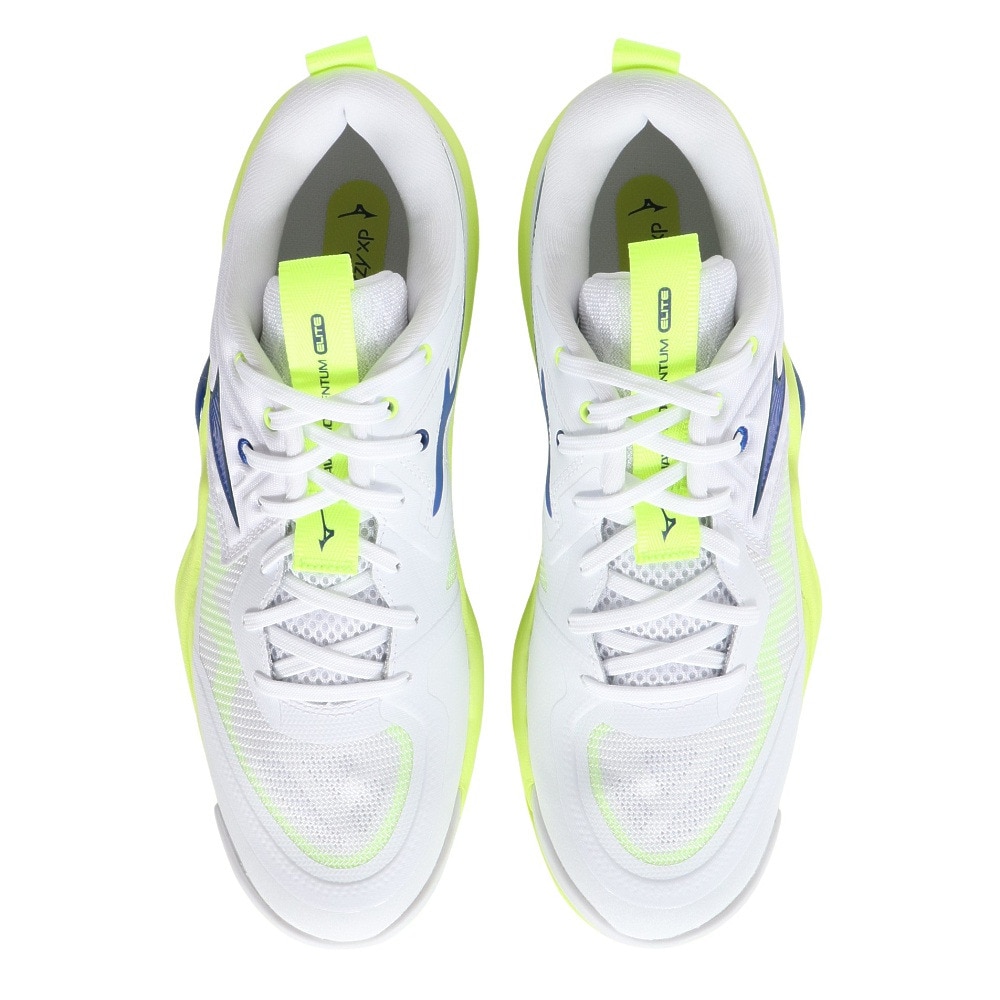 ミズノ（MIZUNO）（メンズ、レディース）バレーボールシューズ