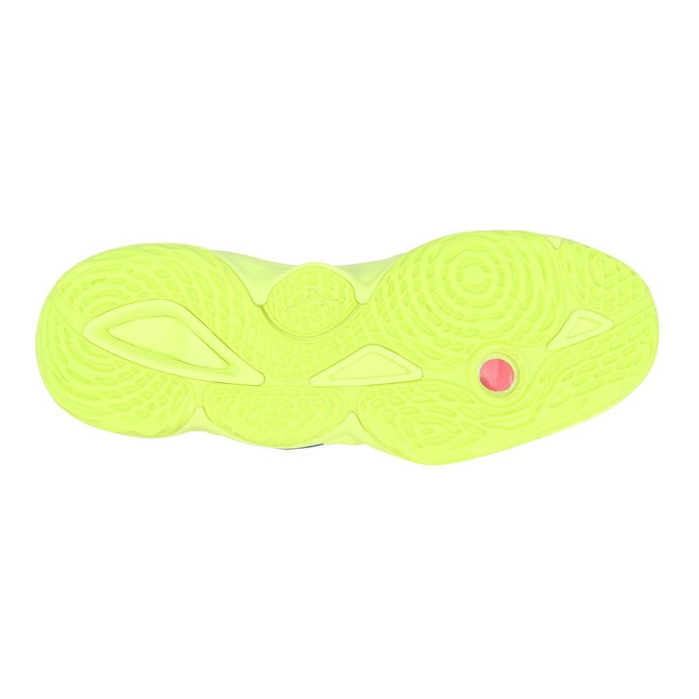 ミズノ（MIZUNO）（メンズ、レディース）バレーボールシューズ
