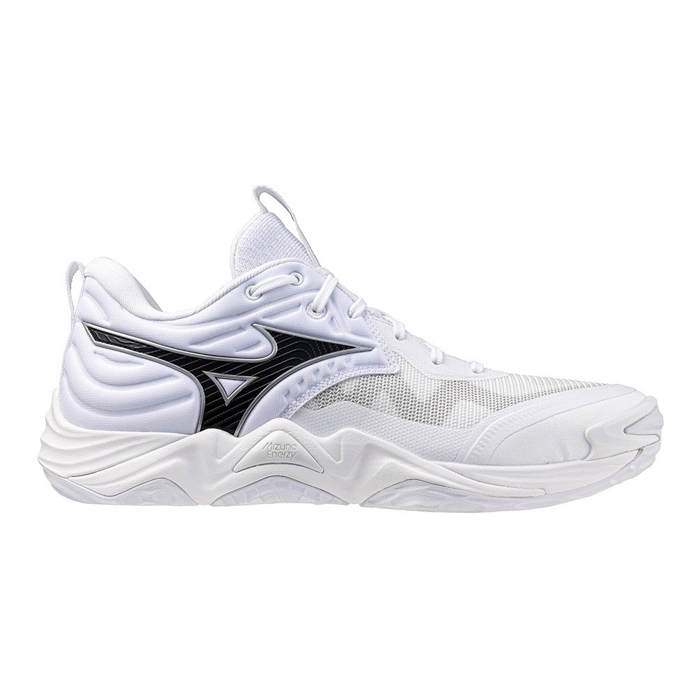 ミズノ（MIZUNO）（メンズ、レディース）バレーボールシューズ