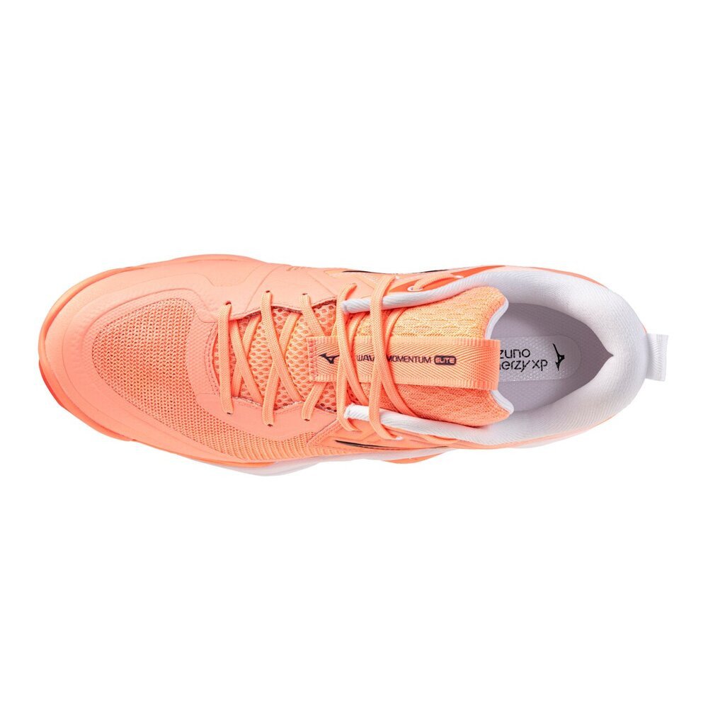 ミズノ（MIZUNO）（メンズ、レディース）バレーボールシューズ