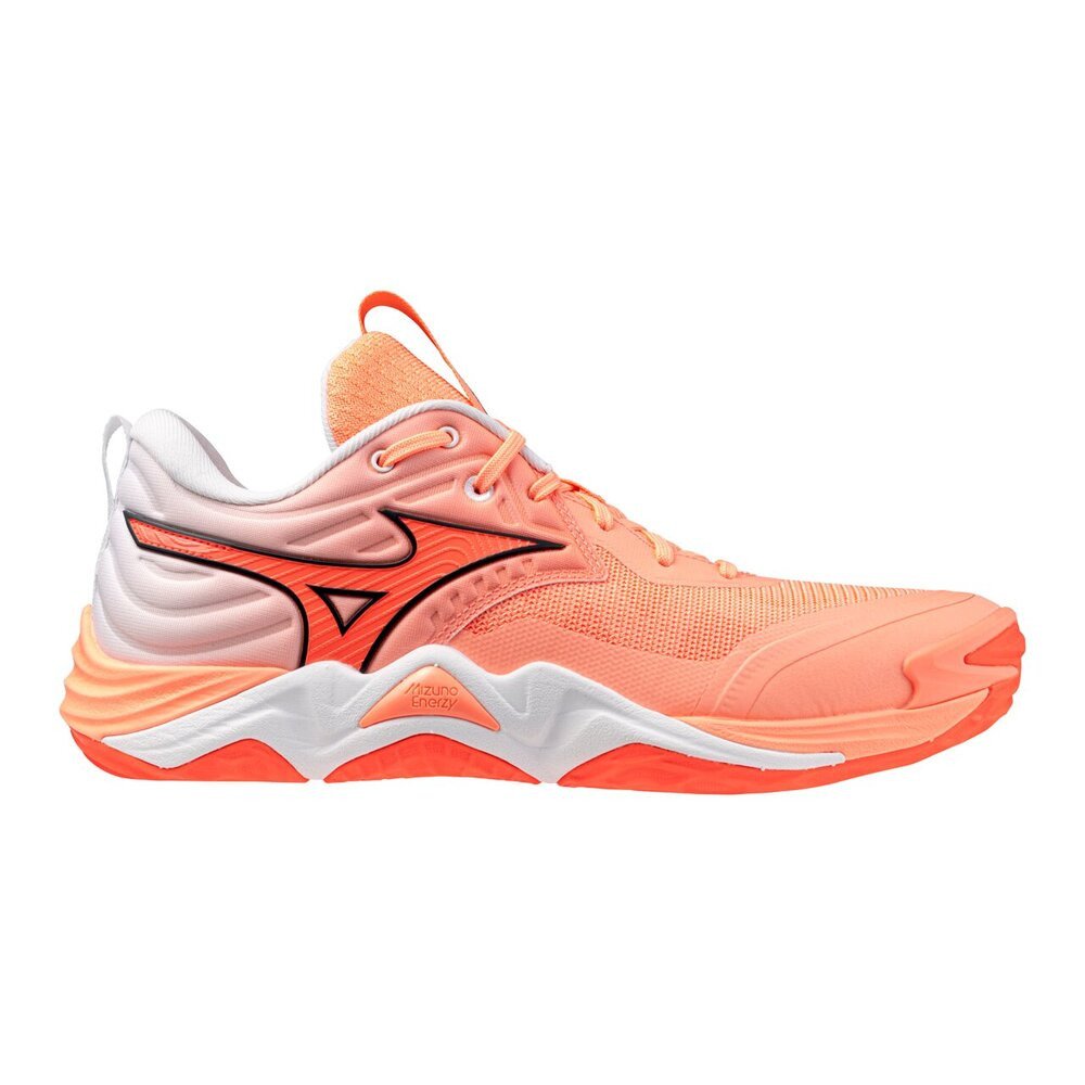 ミズノ（MIZUNO）（メンズ、レディース）バレーボールシューズ