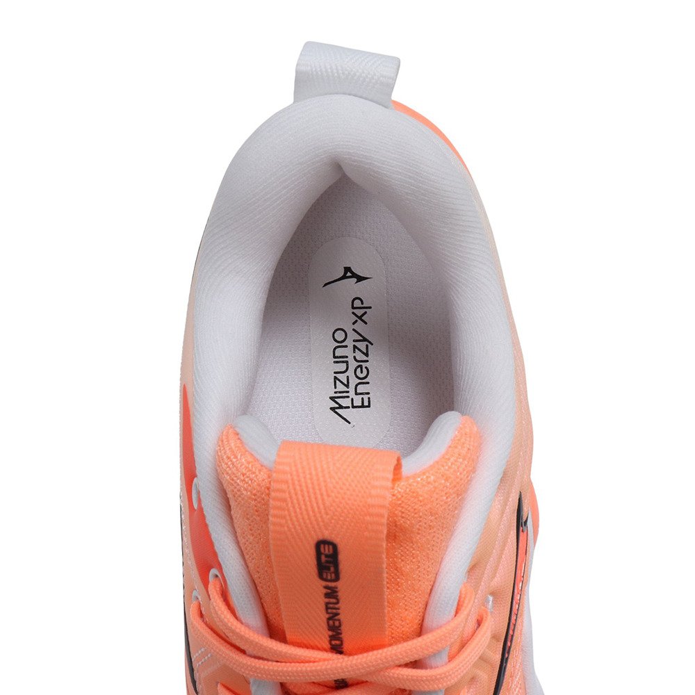 ミズノ（MIZUNO）（メンズ、レディース）バレーボールシューズ