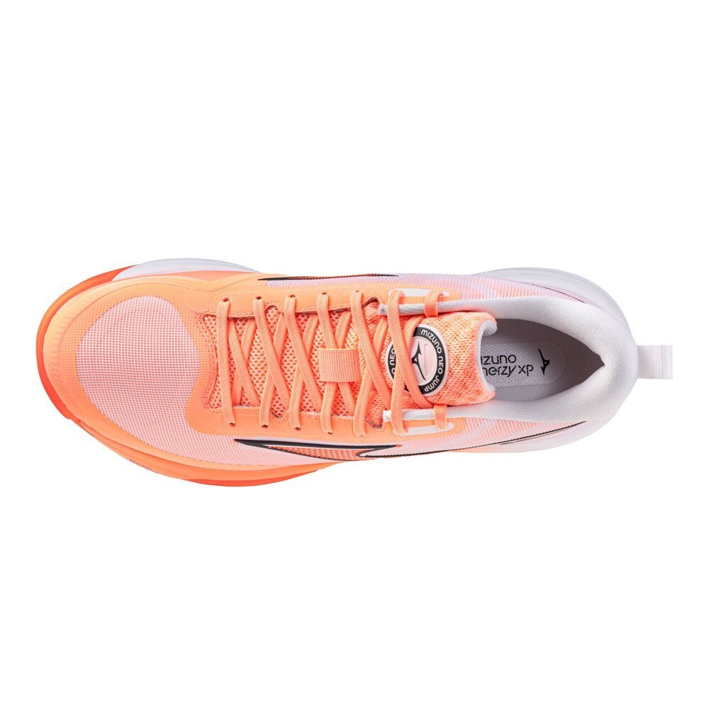 ミズノ（MIZUNO）（メンズ、レディース）バレーボールシューズ ミズノ