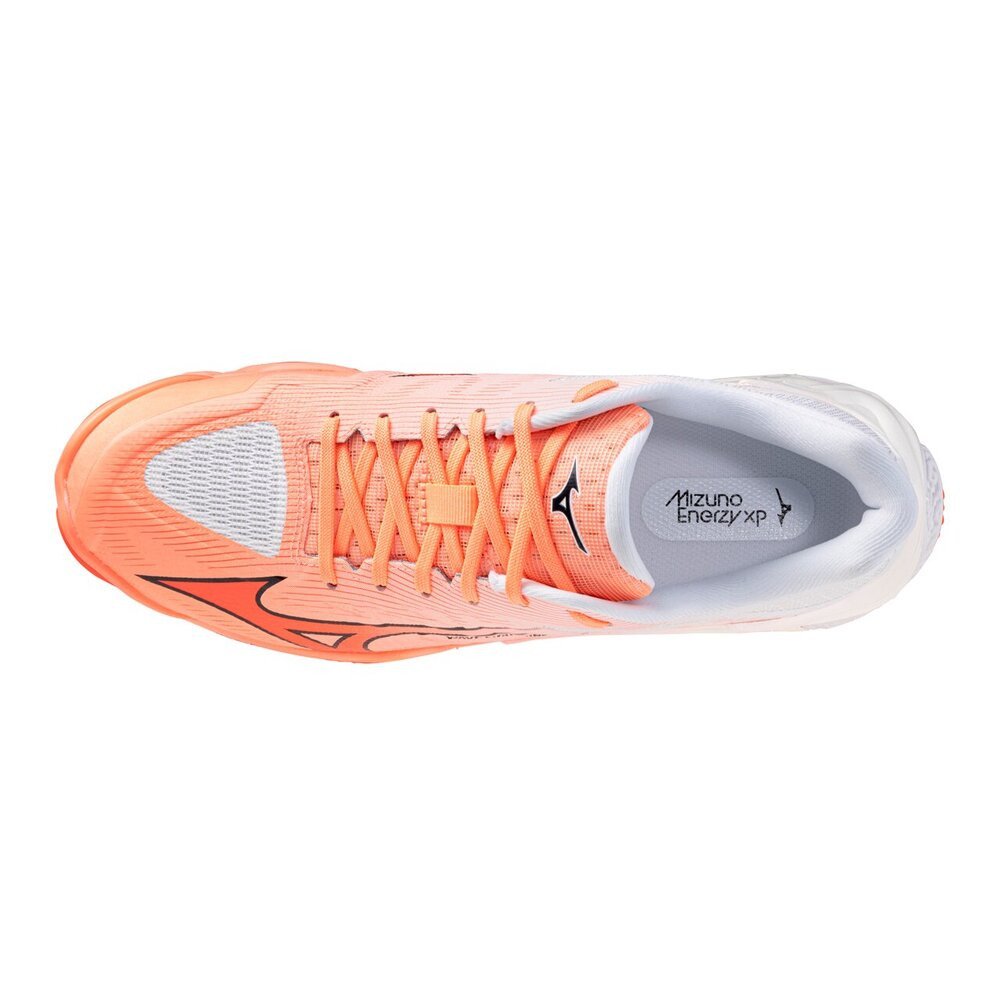 ミズノ（MIZUNO）（メンズ、レディース）バレーボールシューズ
