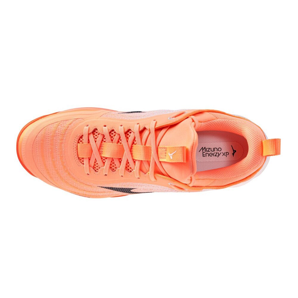 美品　希少　廃盤　Mizuno BASARA101 27㎝ ミズノ（MIZUNO）（メンズ、レディース）バレーボールシューズ