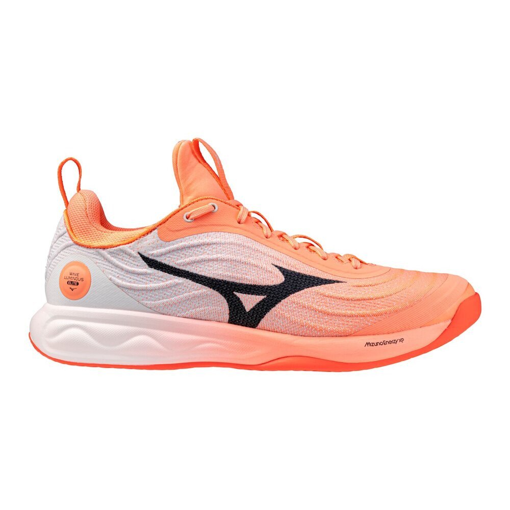 ミズノ（MIZUNO）（メンズ、レディース）バレーボールシューズ