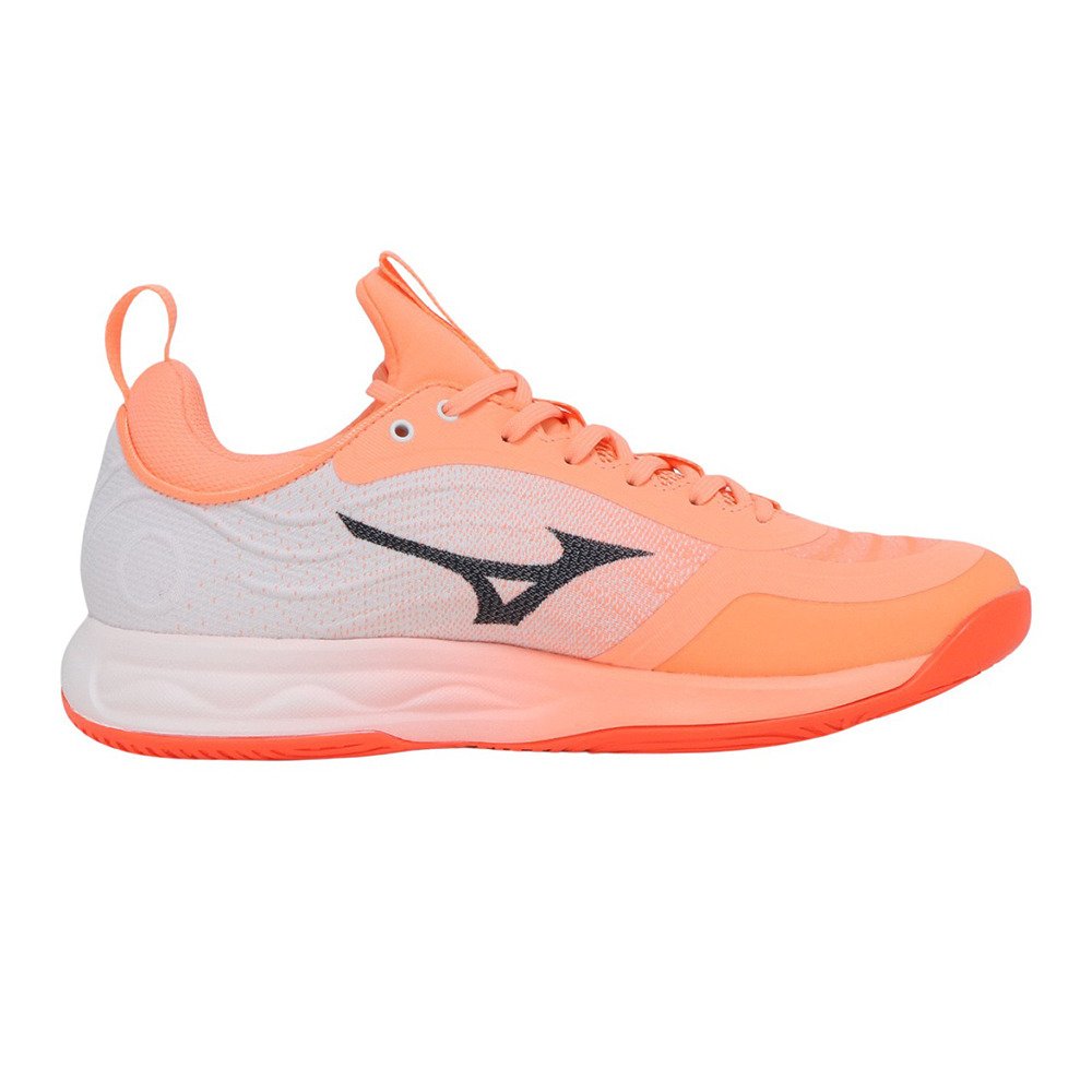 ミズノ（MIZUNO）（メンズ、レディース）バレーボールシューズ