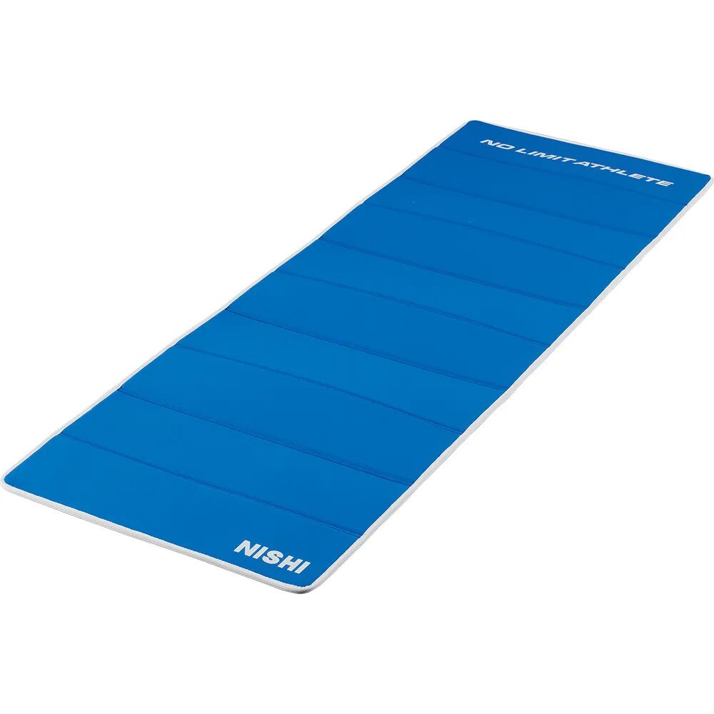 NISHI(ニシ・スポーツ) ケアポール NT7991 ケアポール ソフト