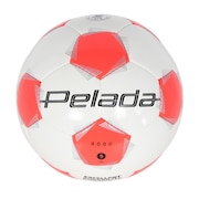 (メンズ、レディース)サッカーボール 5号球 検定球 ペレーダ4000 F5K4000-WO