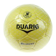 サッカーボール スーパースポーツゼビオ