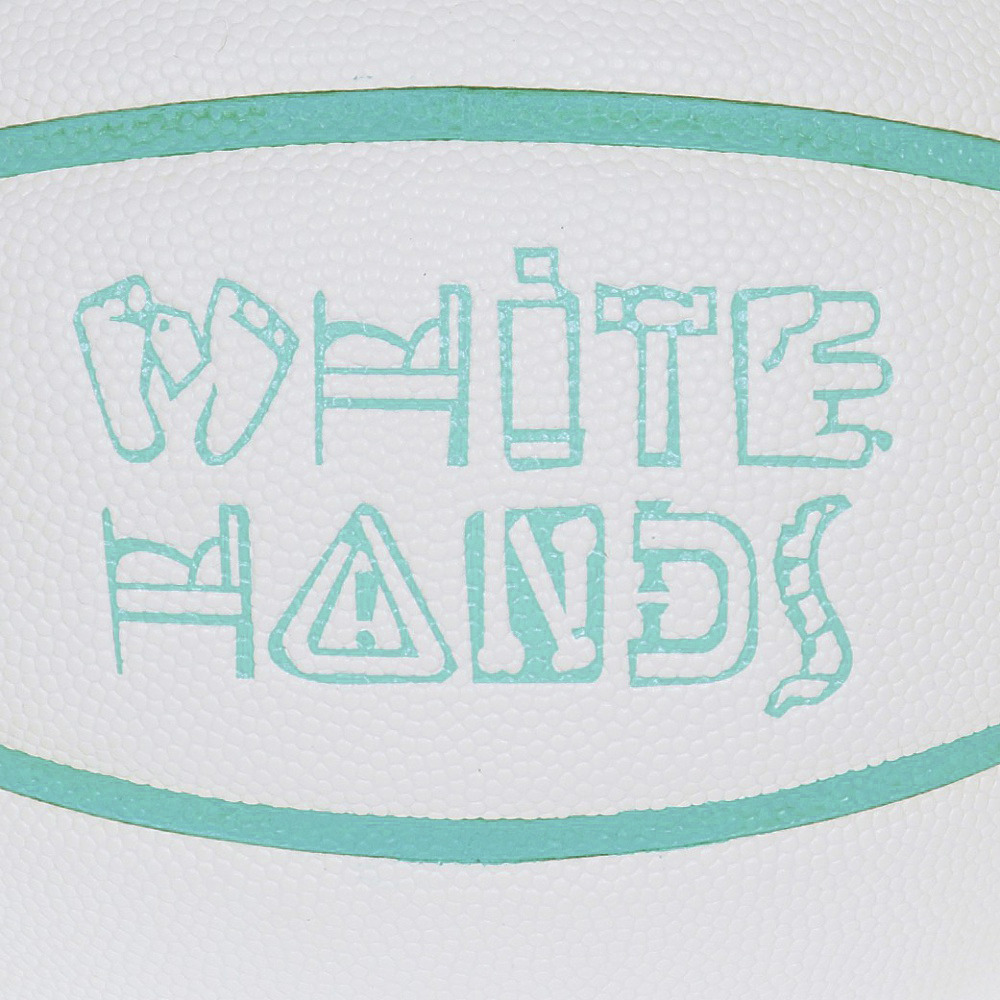 タチカラ（TACHIKARA）（キッズ）ジュニア バスケットボール 5号球 WHITEHANDS ホワイト×ブルー SB5-202