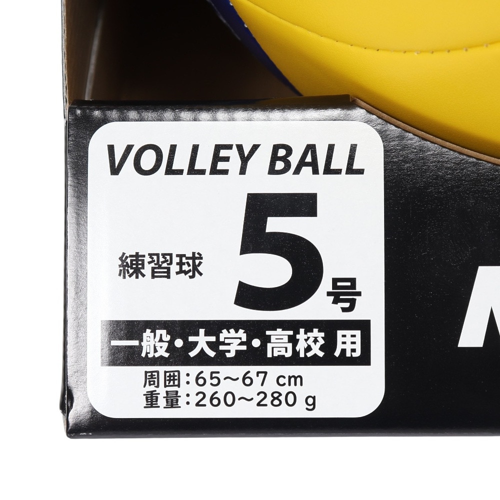 ミカサ（MIKASA）（メンズ、レディース）バレーボール 5号球 (一般用・大学用・高校用) レクリエーションV355W 自主練 練習