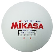 (メンズ、レディース、キッズ)ソフトミニバレーボール BM-LM 自主練