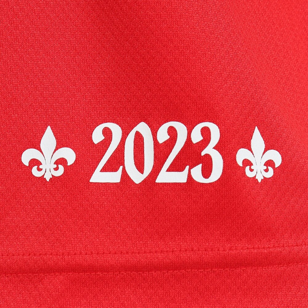 カンタベリー（canterbury）（メンズ）ラグビー ジャパン 2023 半袖スペクテーターTシャツ RA33779 65