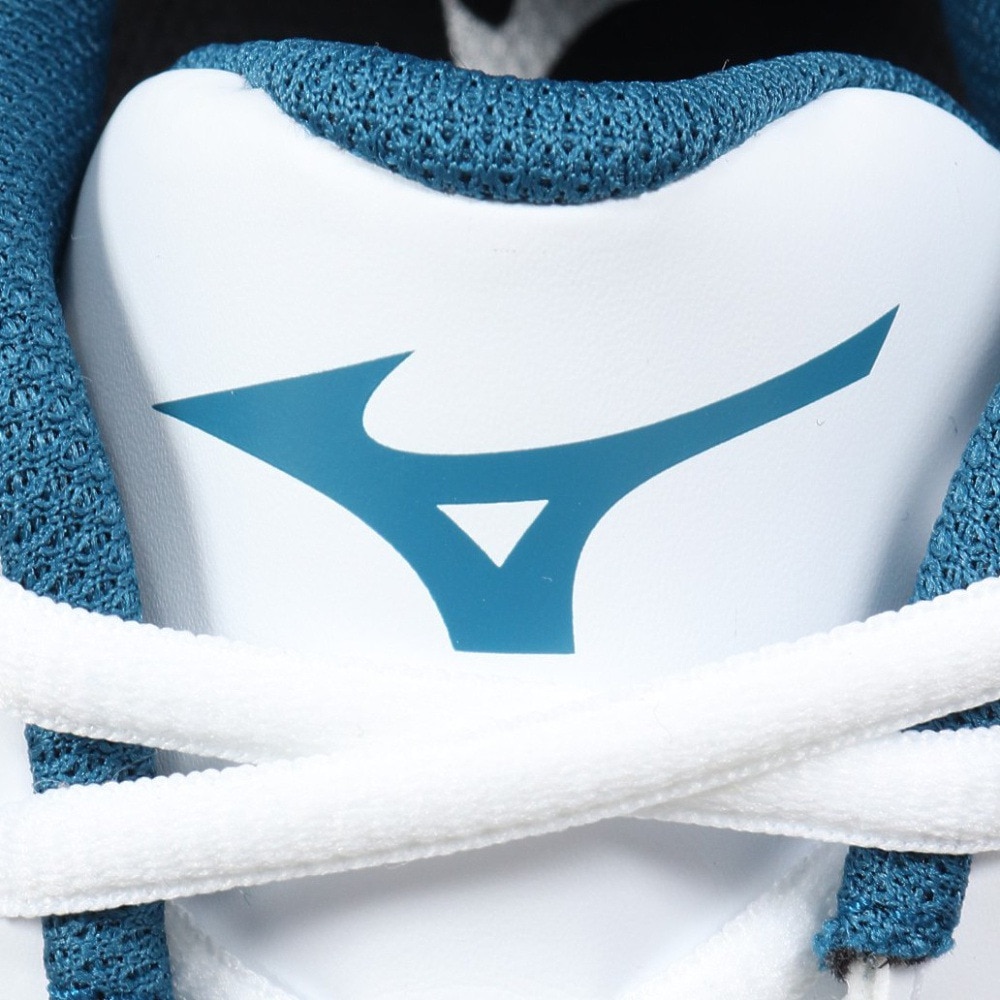 ミズノ（MIZUNO）（メンズ、レディース）ハンドボールシューズ アウトドア用 屋外用 ウエーブガイア3 X1GD185021