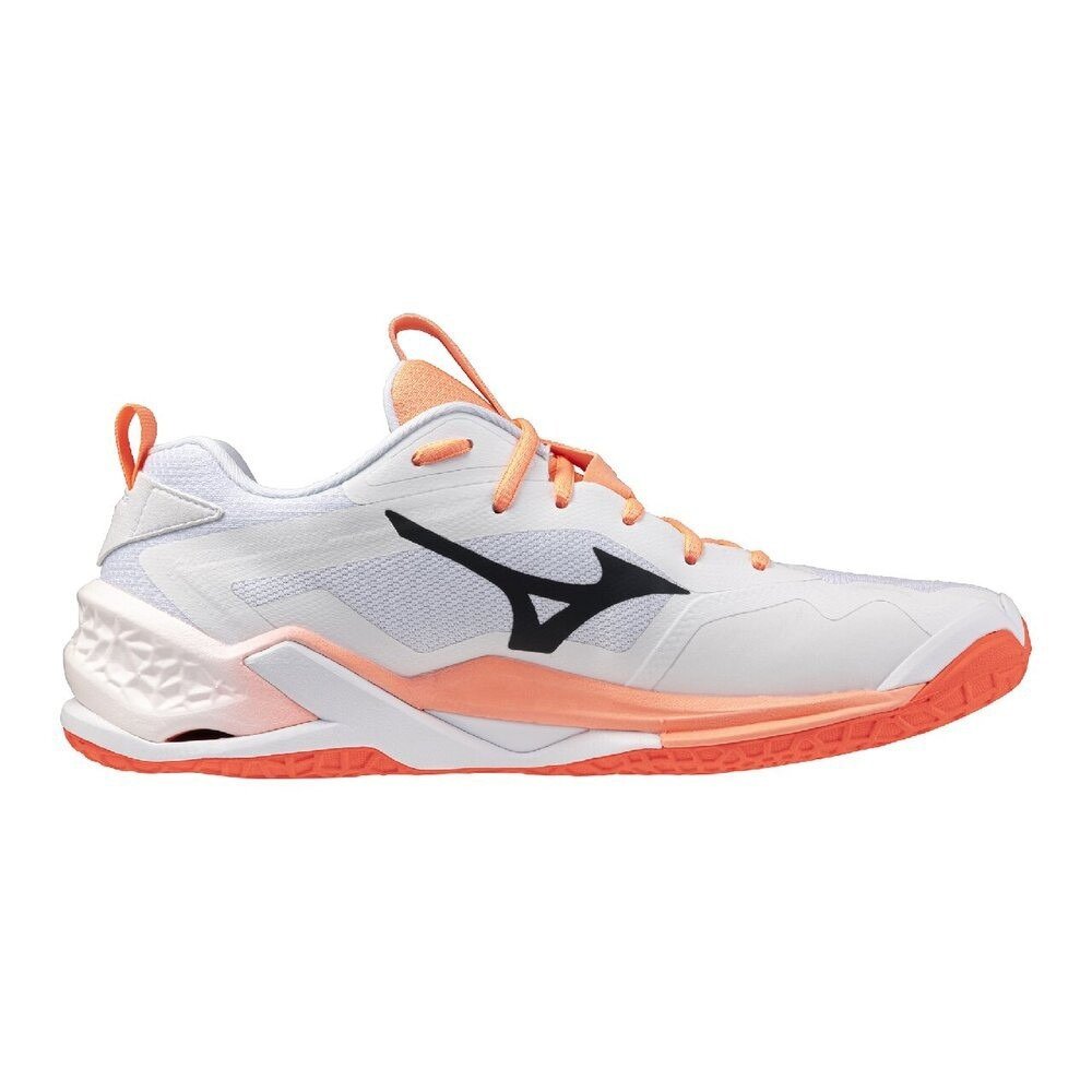 MIZUNO ミズノ63JTH273012 F270 新品未使用 ミズノ（MIZUNO）（メンズ、レディース）ハンドボールシューズ