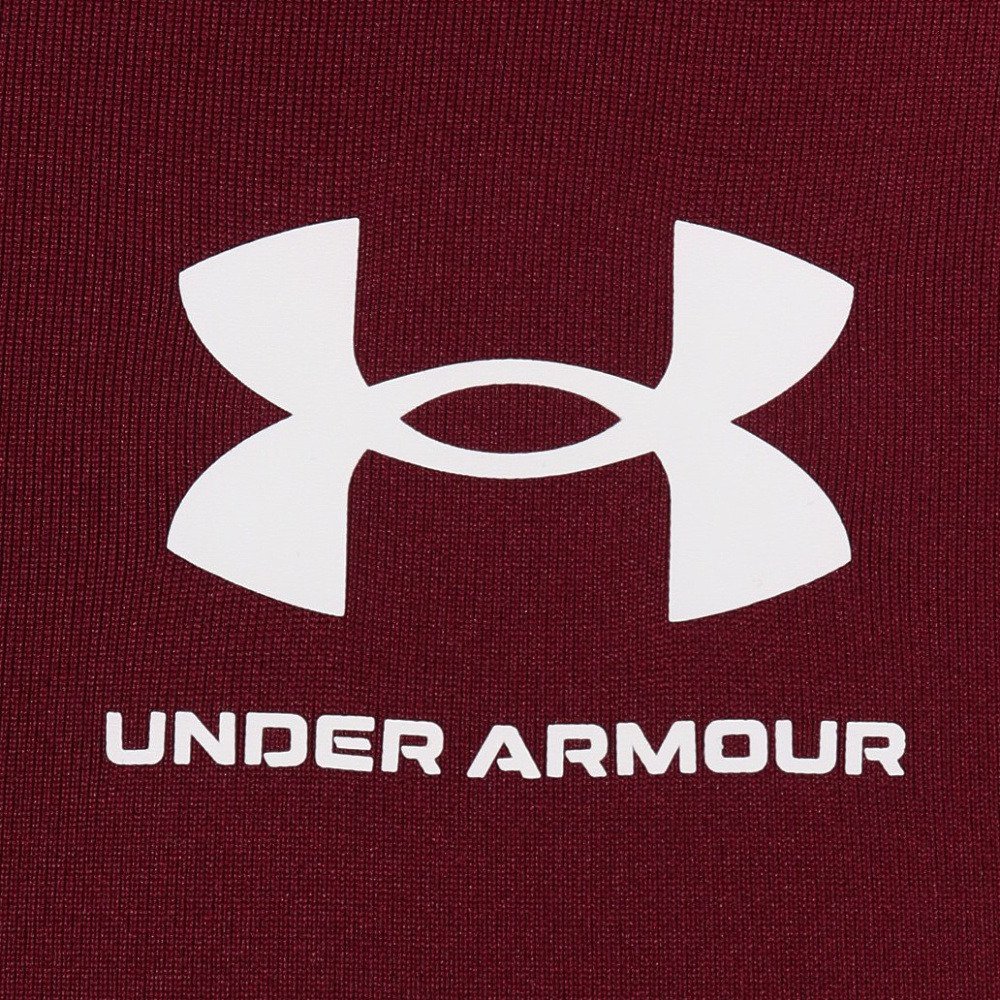 アンダーアーマー（UNDER ARMOUR）（メンズ）ヒートギア アーマー コンプレッション ロングスリーブ シャツ 6017961 609