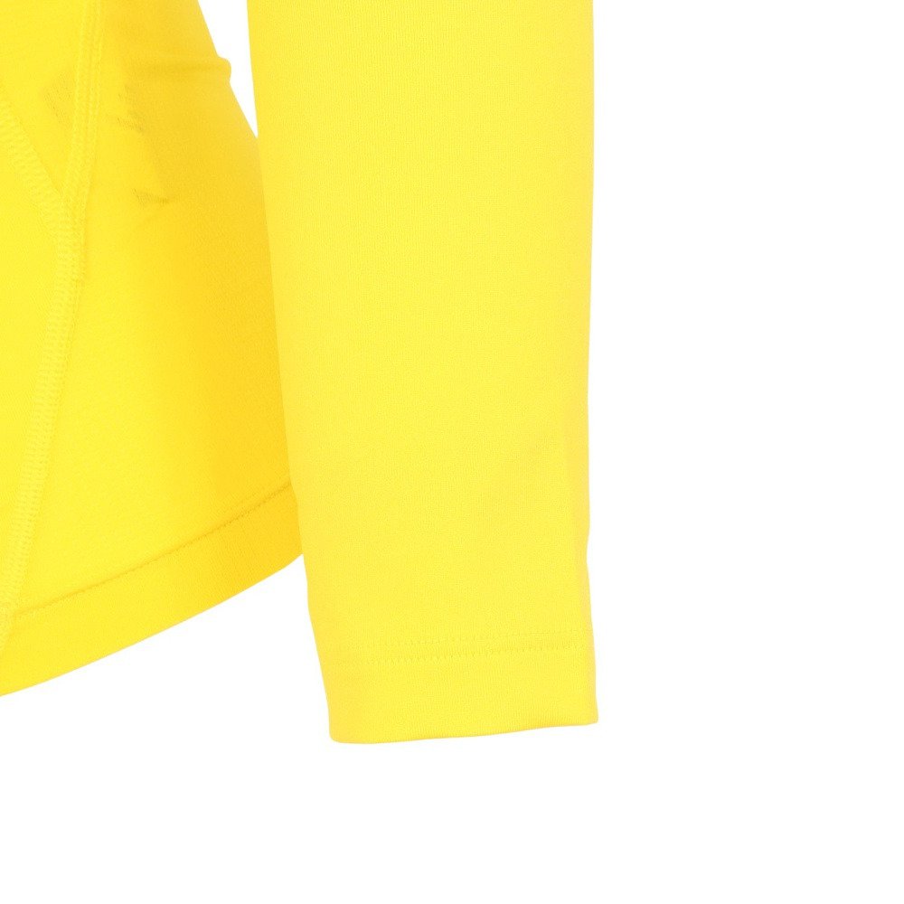 アンダーアーマー（UNDER ARMOUR）（メンズ）ヒートギア アーマー コンプレッション ロングスリーブ シャツ 6017961 737