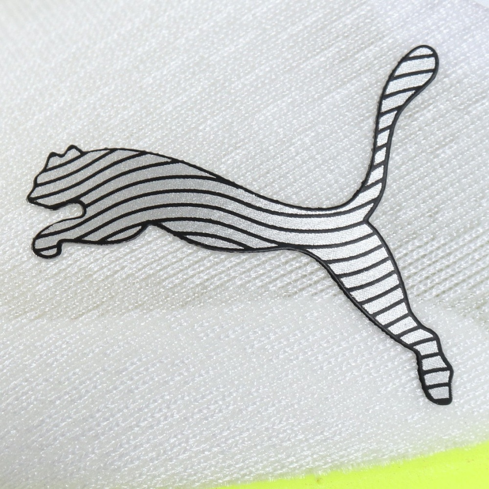 プーマ（PUMA）（メンズ）ランニングシューズ トレーニングシューズ 部活 プロピオ ニトロ 31142804