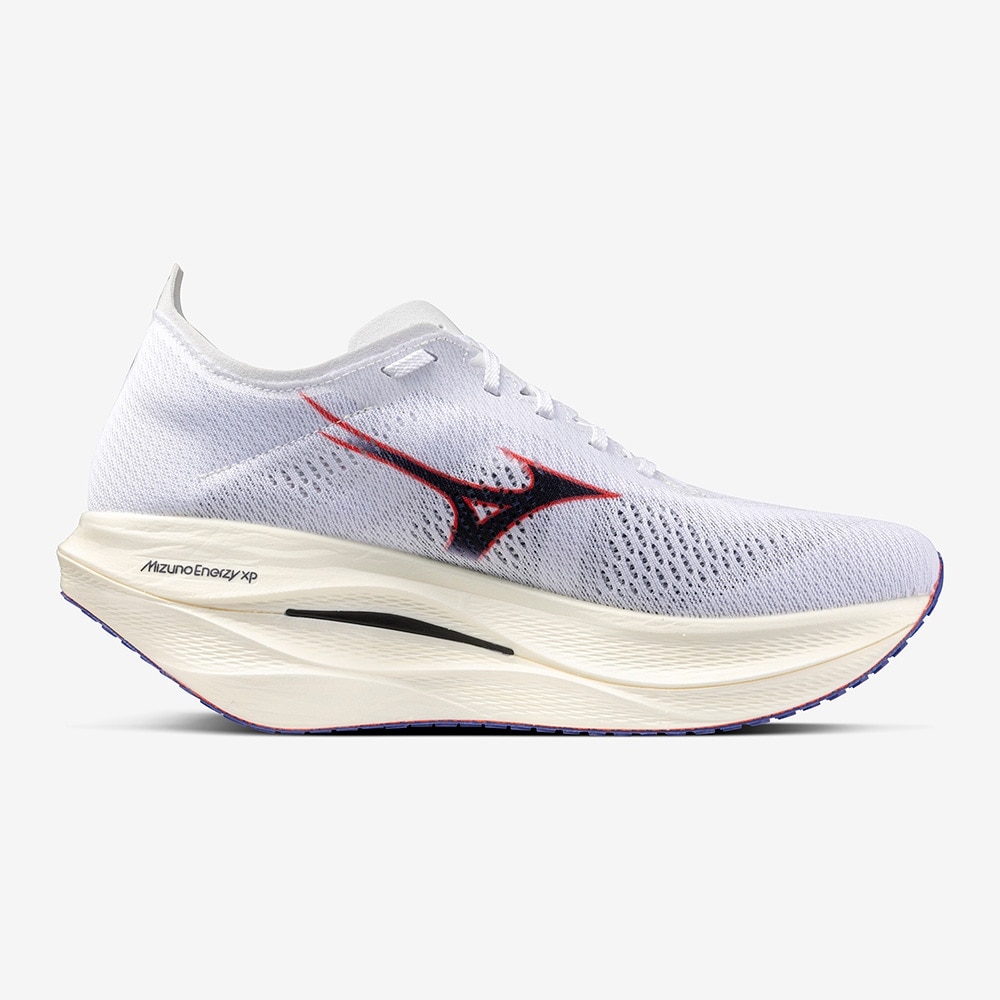 ミズノ（MIZUNO）（メンズ）ランニングシューズ トレーニングシューズ 部活 ウエーブリベリオンプロ3 U1GD253011