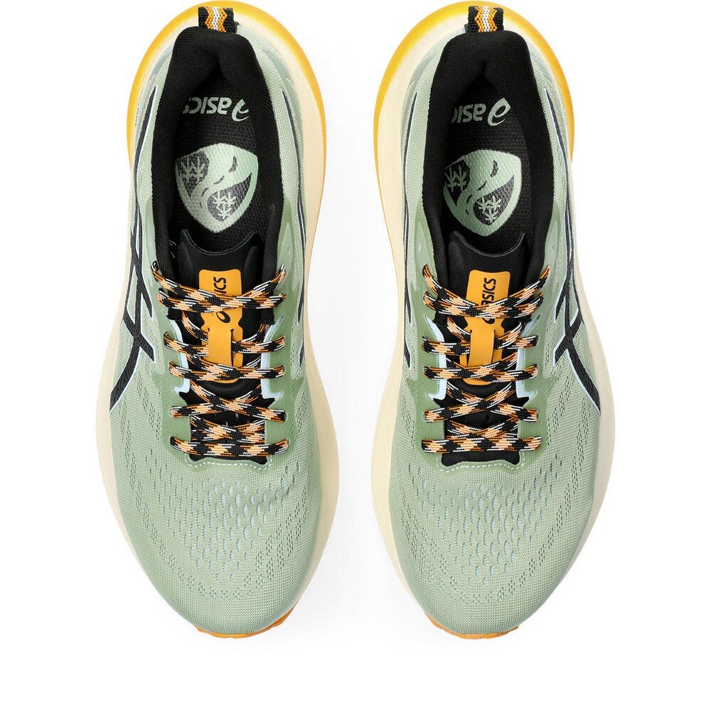 アシックス（ASICS）（メンズ）ランニングシューズ ジョギングシューズ GT-2000 12 TR 1011B775.250