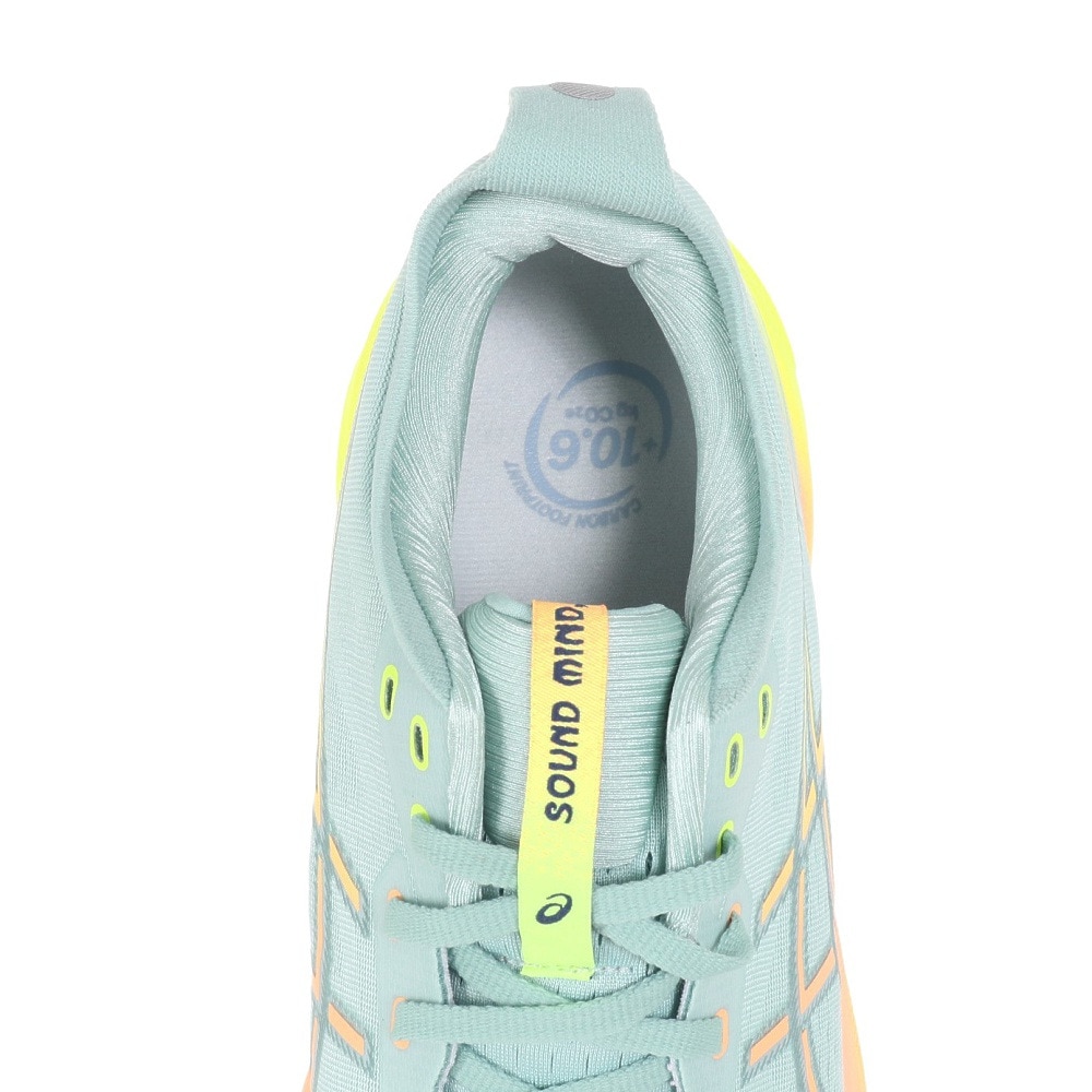 アシックス（ASICS）（メンズ）ランニング ジョギングシューズ GEL-KAYANO 31 PARIS 1011B929.750 お一人様一点まで