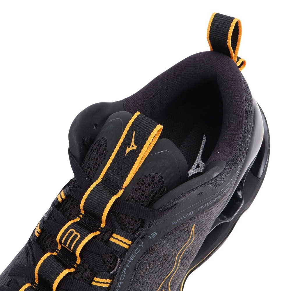 ミズノ（MIZUNO）（メンズ、レディース）ランニングシューズ ジョギングシューズ ウエーブプロフェシー13 J1GC245132