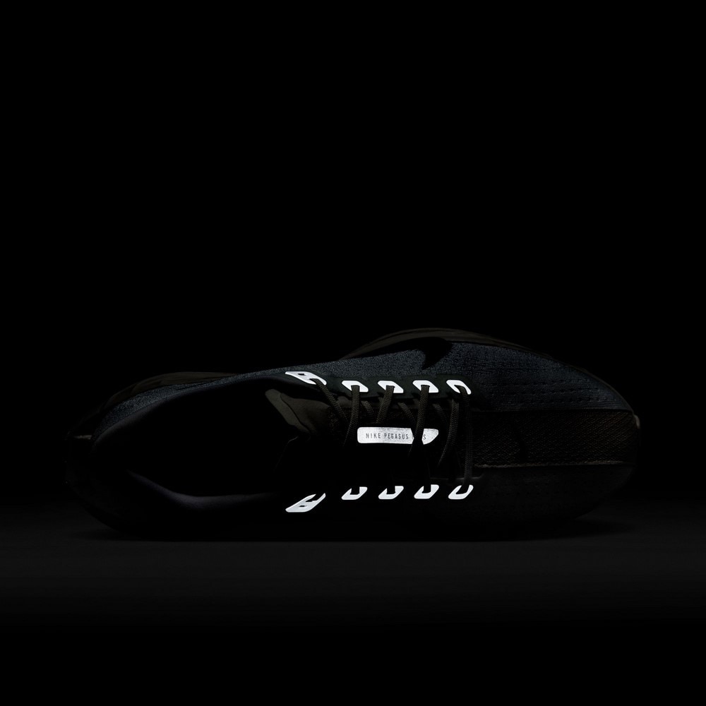 ナイキ（NIKE）（メンズ）ランニングシューズ ジョギングシューズ ペガサス プラス FQ7262-100