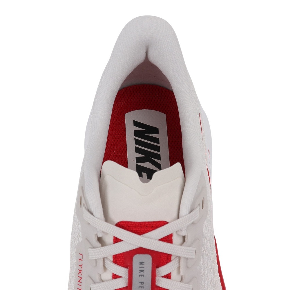 ナイキ（NIKE）（メンズ）ランニングシューズ ジョギングシューズ ペガサス プラス FQ7262-003