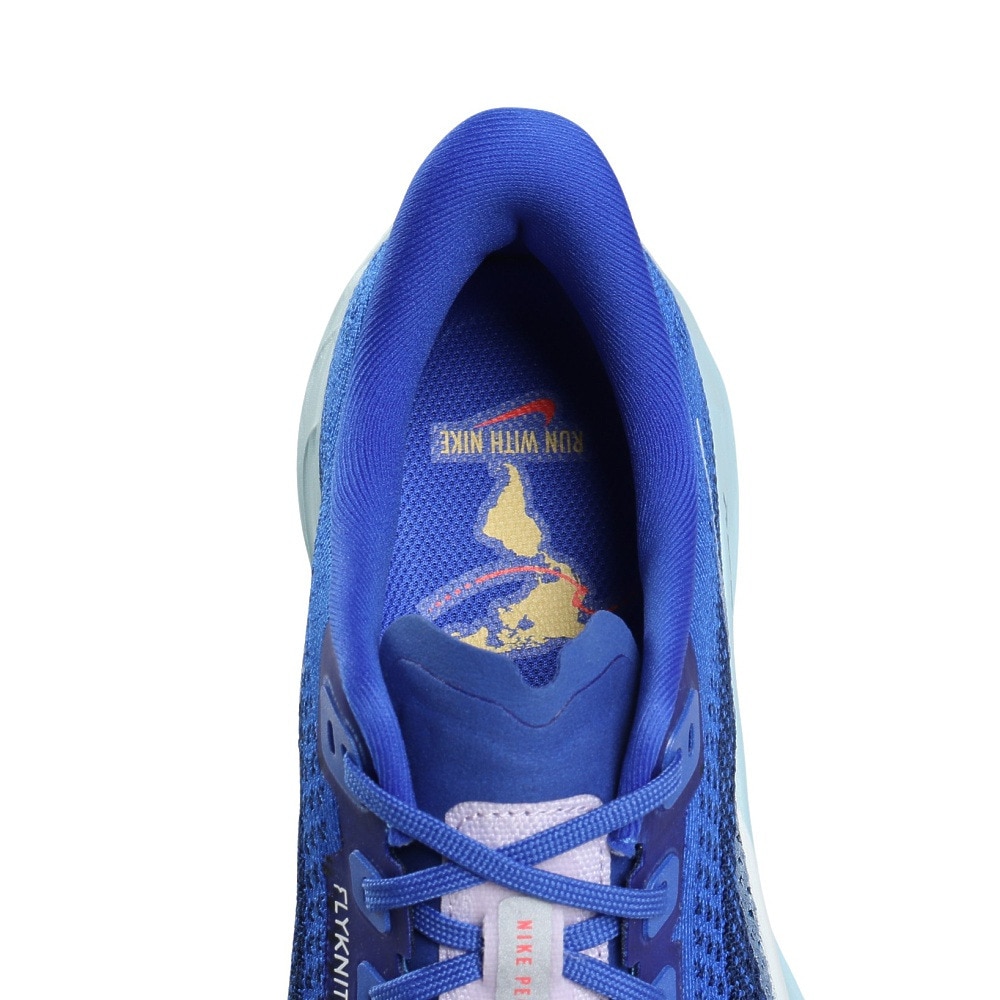 ナイキ（NIKE）（メンズ）ランニングシューズ ジョギングシューズ ペガサス　プラス　CM HQ1719-400