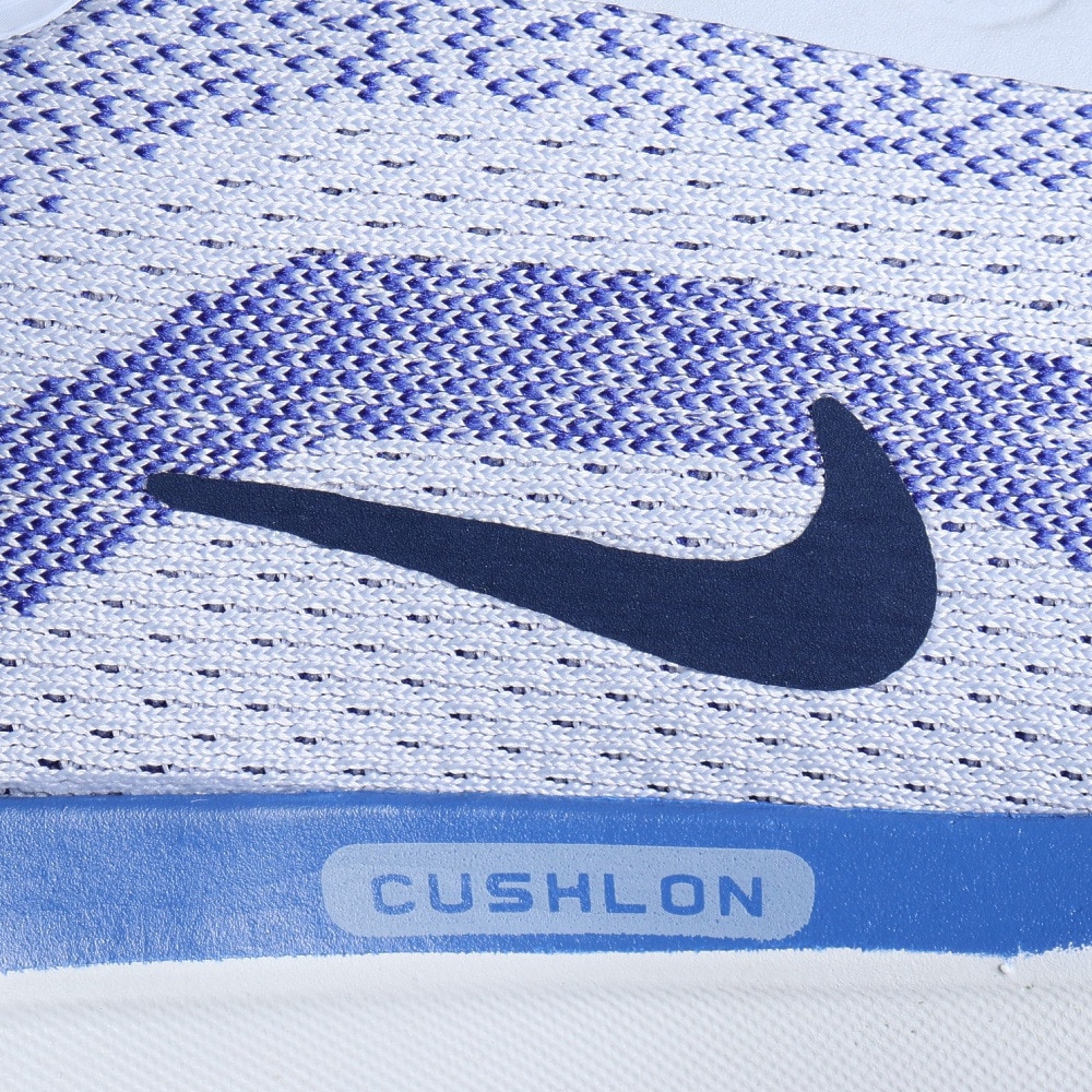 ナイキ（NIKE）（メンズ）ランニングシューズ ジョギングシューズ エア ウィンフロー 11 FJ9509-006