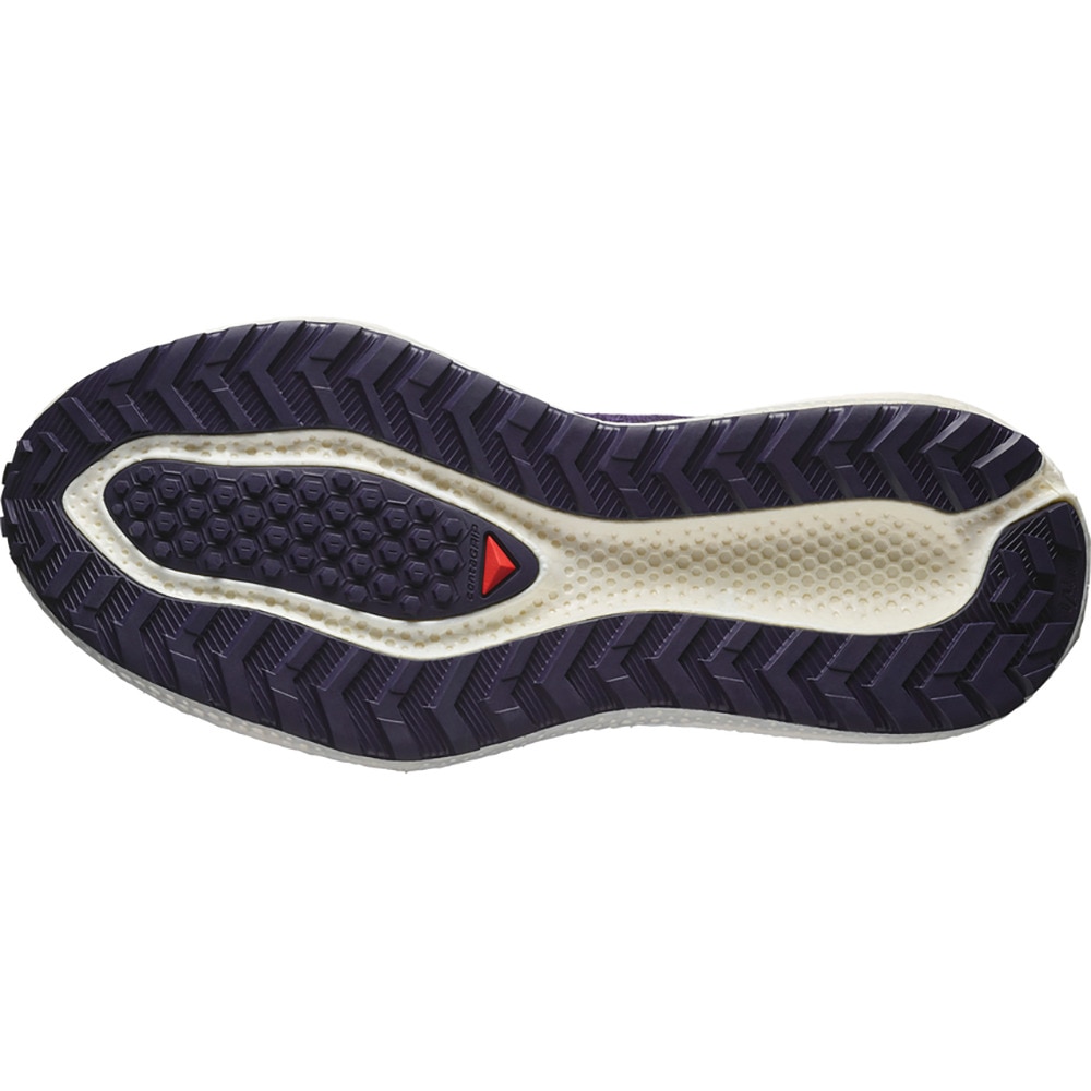 サロモン（SALOMON）（メンズ）ランニングシューズ ジョギングシューズ エアロ グライド 3 グラベル パープル L47869800 スニーカー シューズ