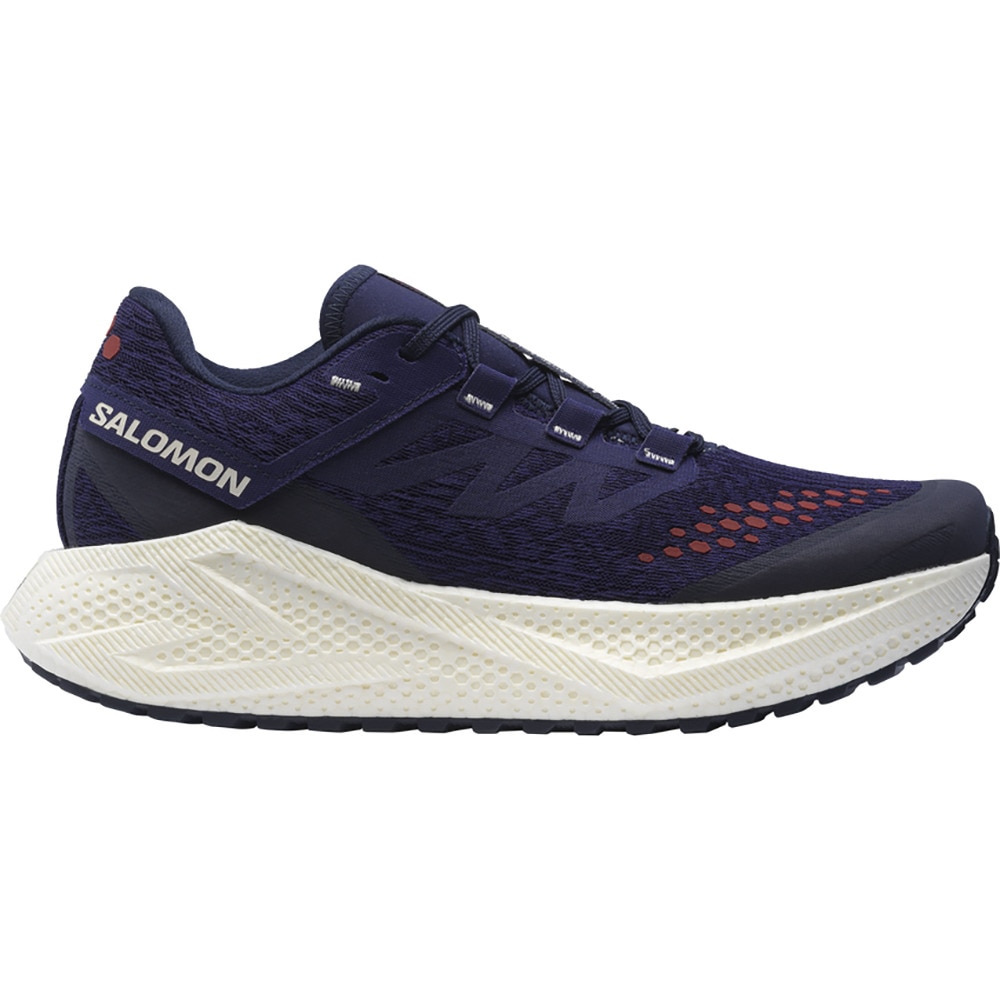 サロモン（SALOMON）（メンズ）ランニングシューズ ジョギングシューズ エアロ グライド 3 グラベル パープル L47869800 スニーカー シューズ
