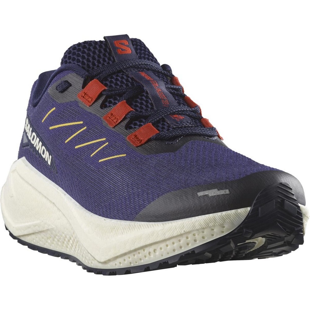 サロモン（SALOMON）（メンズ）ランニングシューズ ジョギングシューズ エアロ ブレイズ 3 グラベル パープル L47915400 スニーカー