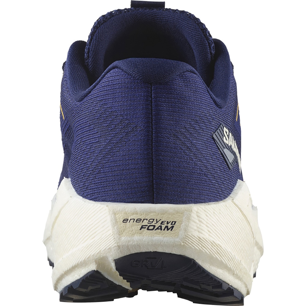 サロモン（SALOMON）（メンズ）ランニングシューズ ジョギングシューズ エアロ ブレイズ 3 グラベル パープル L47915400 スニーカー
