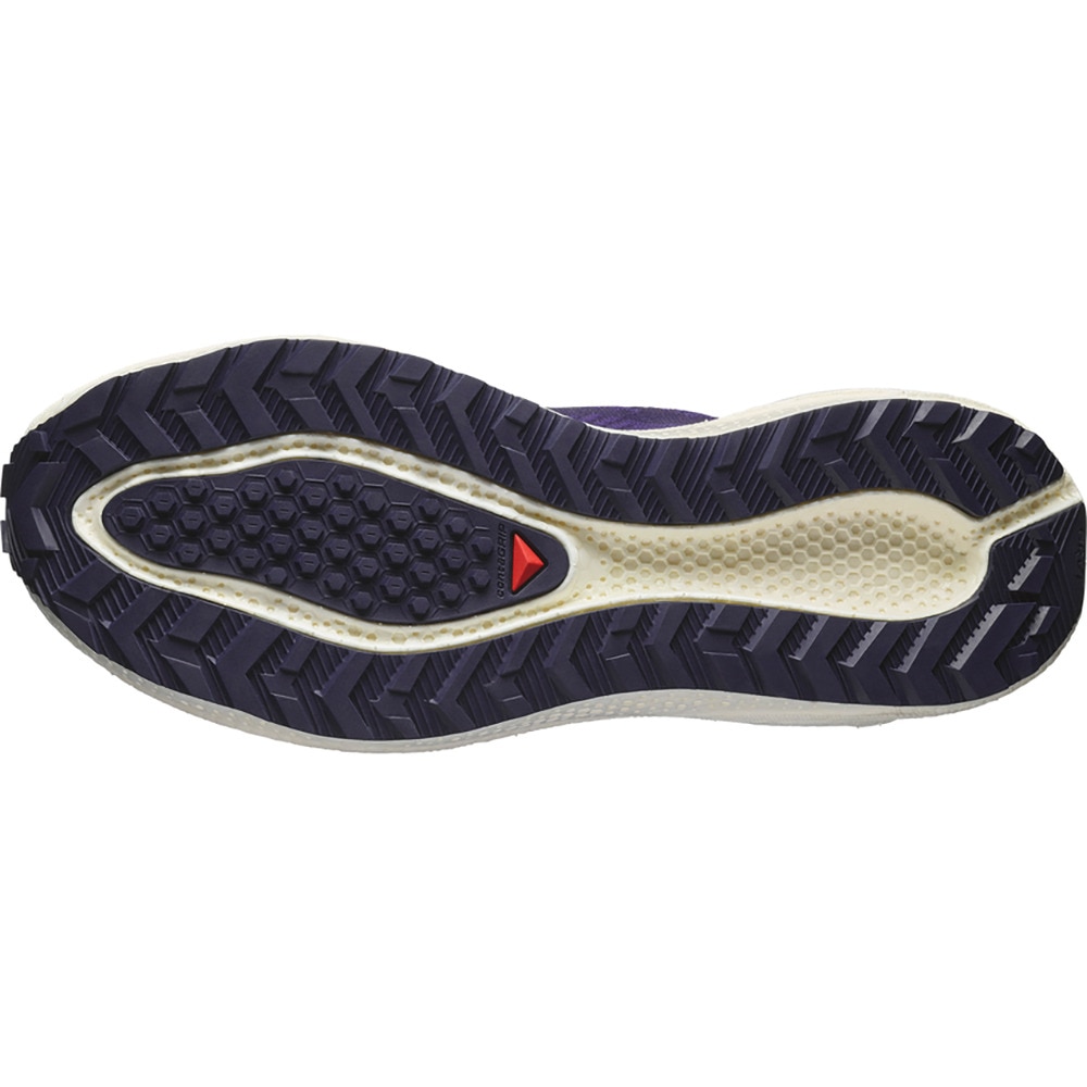サロモン（SALOMON）（メンズ）ランニングシューズ ジョギングシューズ エアロ ブレイズ 3 グラベル パープル L47915400 スニーカー