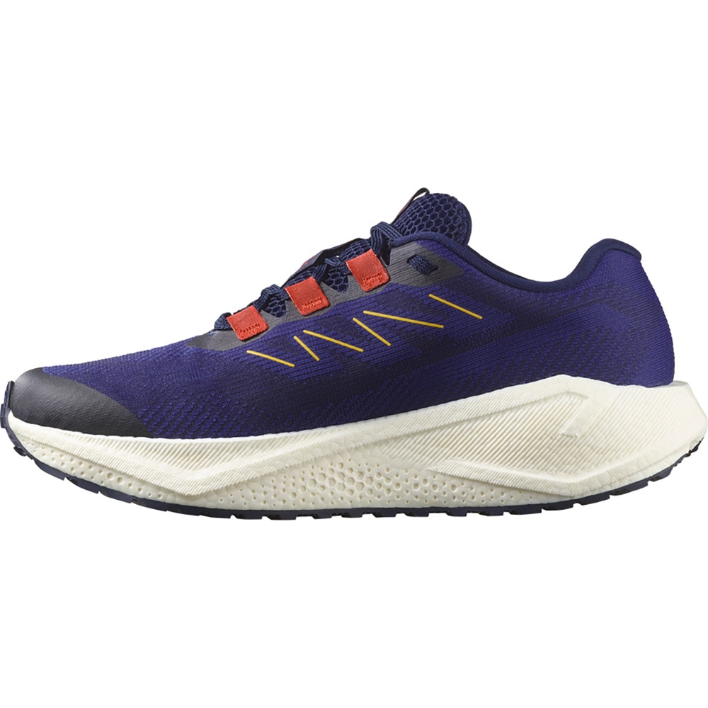 サロモン（SALOMON）（メンズ）ランニングシューズ ジョギングシューズ エアロ ブレイズ 3 グラベル パープル L47915400 スニーカー