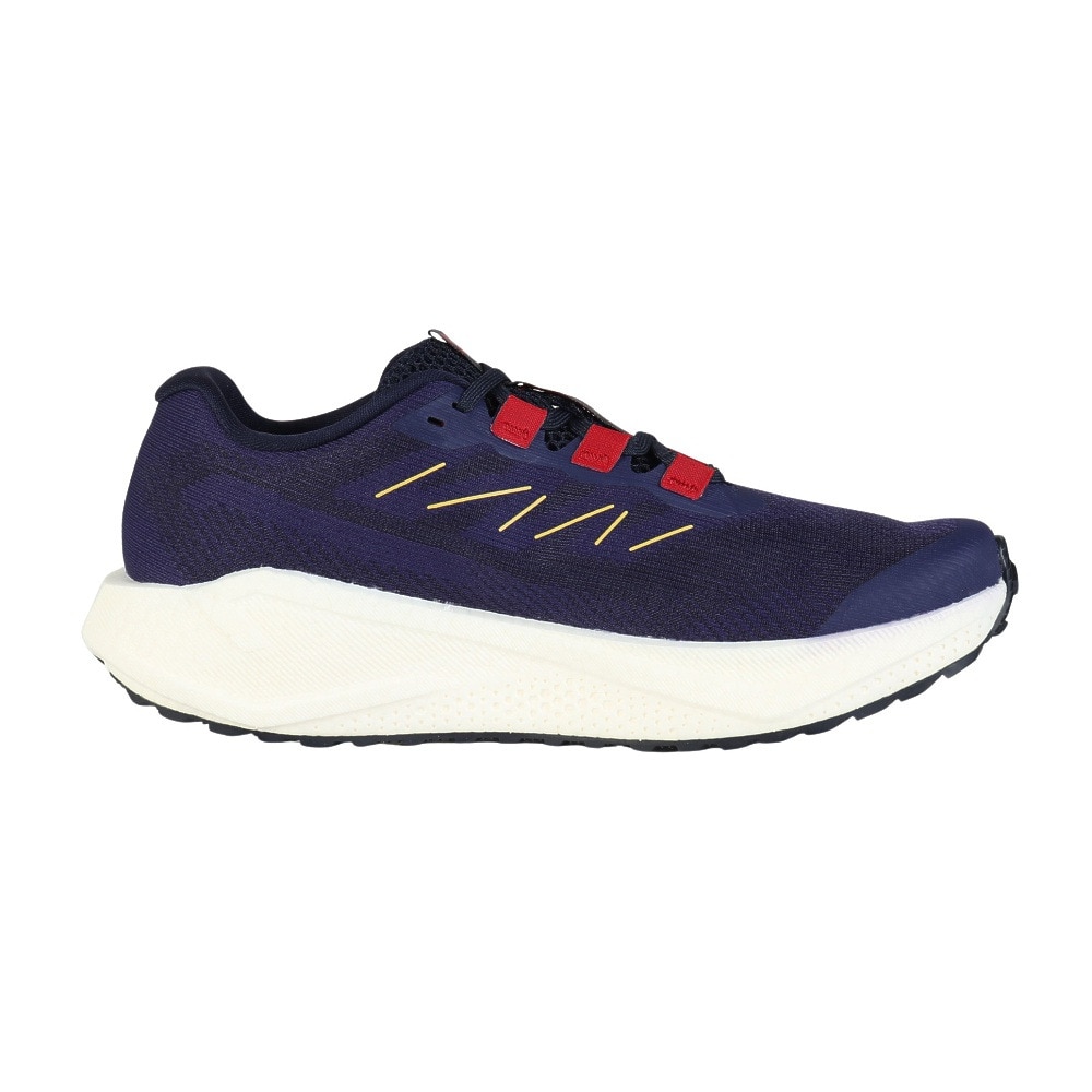 サロモン（SALOMON）（メンズ）ランニングシューズ ジョギングシューズ エアロ ブレイズ 3 グラベル パープル L47915400 スニーカー