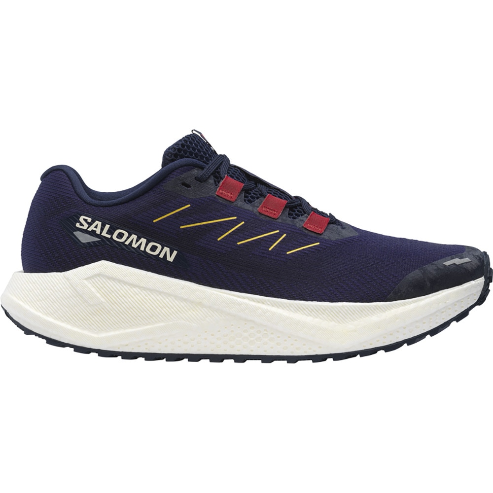 サロモン（SALOMON）（メンズ）ランニングシューズ ジョギングシューズ エアロ ブレイズ 3 グラベル パープル L47915400 スニーカー