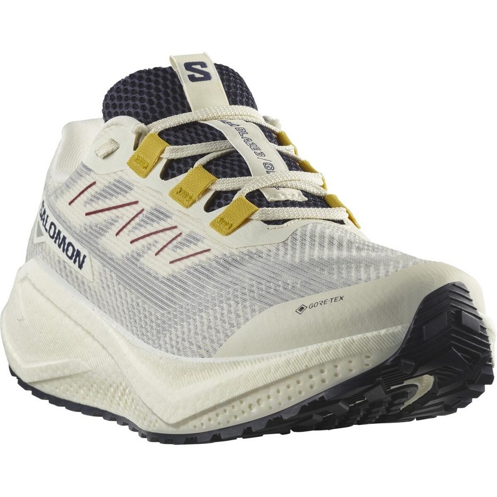 サロモン（SALOMON）（メンズ）ランニングシューズ ジョギングシューズ エアロ ブレイズ 3 グラベル GT ベージュ L47953200 スニーカー